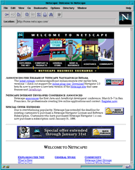 Screenshot of Netscape